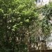 13 Septembrie, Prosper, apartament 4 camere, 97 mp, 2 bai, etaj 7/8.